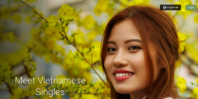 VietnamCupid screenshot 1